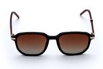 TOMMY HILFIGER TH1689/S Brown Polarized Sunglasses - Unisex TR90 Frame