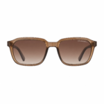 Emporio Armani 1578 Polarized Sunglasses - Transparent Brown Frame, Brown Gradient UV400 Lenses